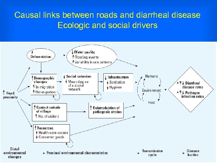 Causal links between roads and diarrheal disease Ecologic and social drivers 