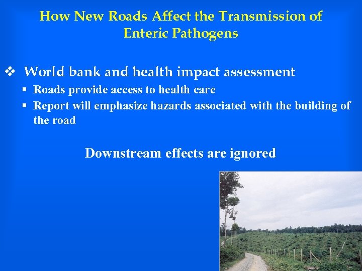 How New Roads Affect the Transmission of Enteric Pathogens v World bank and health