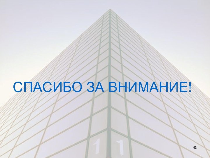СПАСИБО ЗА ВНИМАНИЕ! 45 