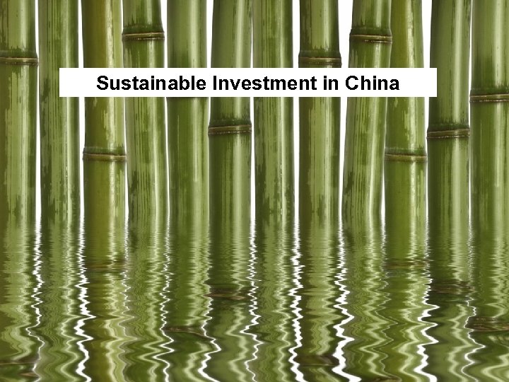 Sustainable Investment in China 1 