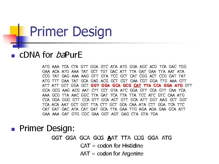Primer Design n c. DNA for ba. Pur. E ATG GAA CCG ATT GCA