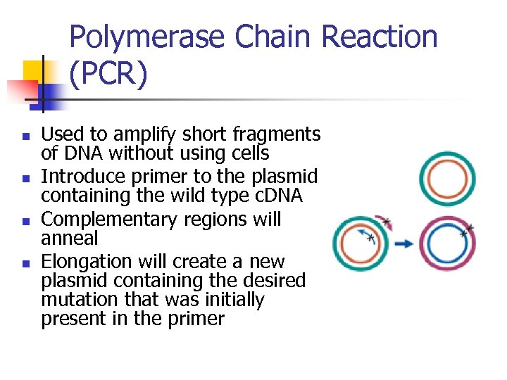 Polymerase Chain Reaction (PCR) n n Used to amplify short fragments of DNA without