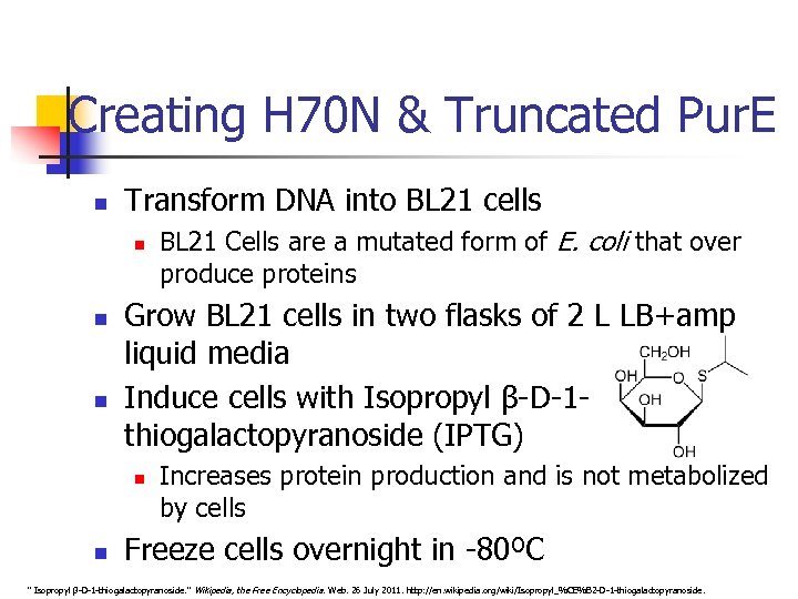 Creating H 70 N & Truncated Pur. E n Transform DNA into BL 21