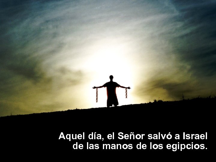 Aquel día, el Señor salvó a Israel de las manos de los egipcios. 