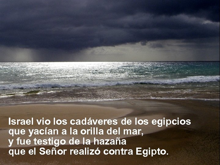 Israel vio los cadáveres de los egipcios que yacían a la orilla del mar,