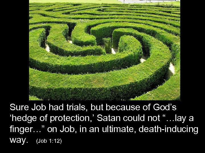 Sure Job had trials, but because of God’s ‘hedge of protection, ’ Satan could