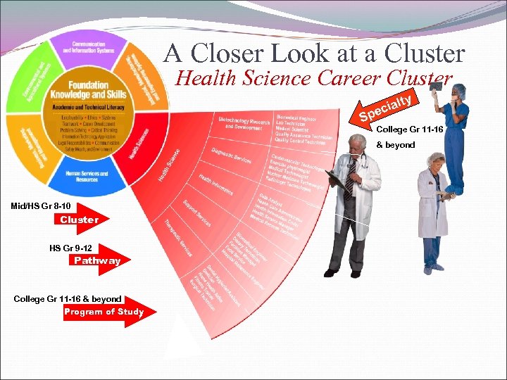 A Closer Look at a Cluster Health Science Career Cluster y lt cia Spe
