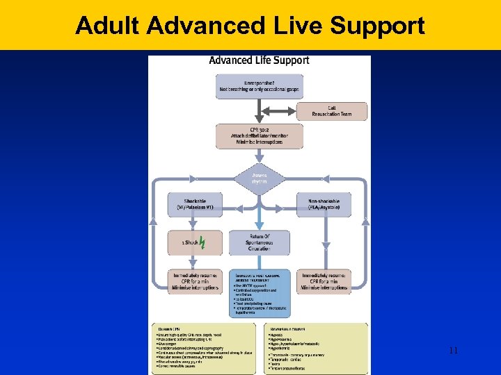 Adult Advanced Live Support 11 