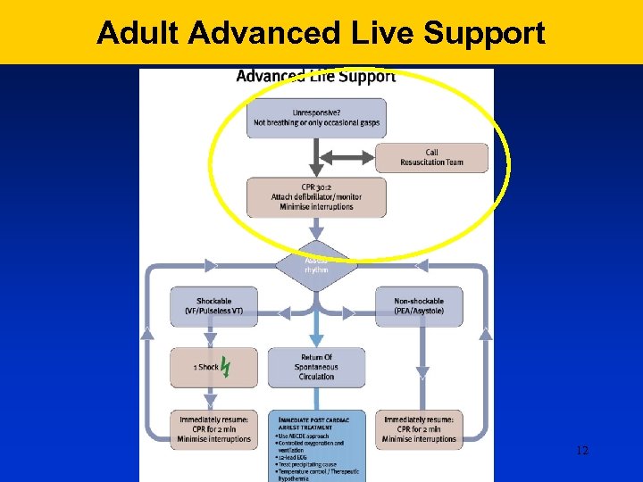 Adult Advanced Live Support 12 