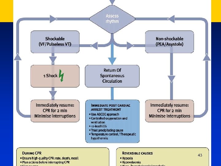 Adult Advanced Live Support When the cardio-monitor will be available check the rhythm 43