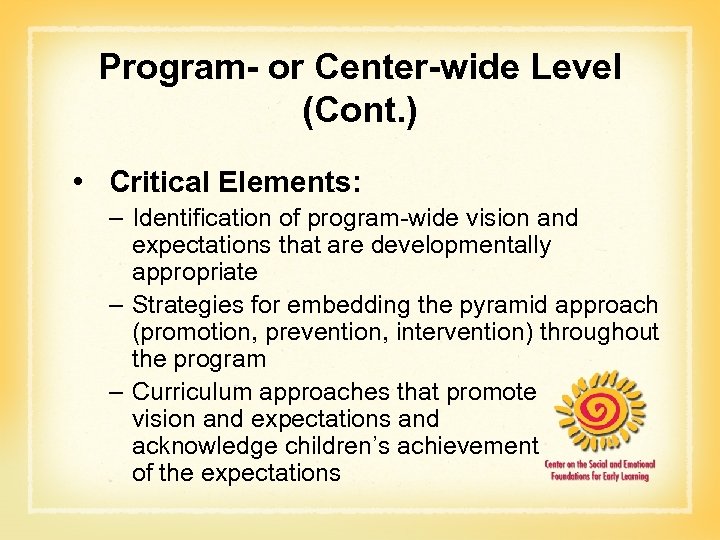 Program- or Center-wide Level (Cont. ) • Critical Elements: – Identification of program-wide vision