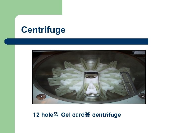 Centrifuge 12 hole의 Gel card용 centrifuge 