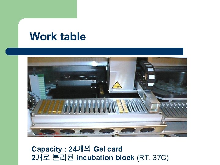 Work table Capacity : 24개의 Gel card 2개로 분리된 incubation block (RT, 37 C)