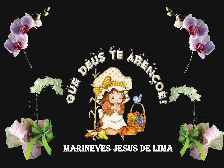 MARINEVES JESUS DE LIMA 