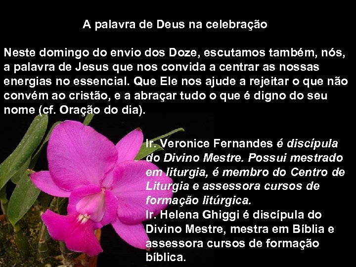 A palavra de Deus na celebração Neste domingo do envio dos Doze, escutamos também,