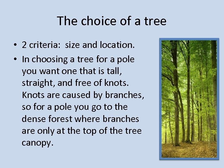 The choice of a tree • 2 criteria: size and location. • In choosing