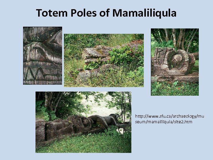 Totem Poles of Mamaliliqula http: //www. sfu. ca/archaeology/mu seum/mamaliliqula/site 2. htm 