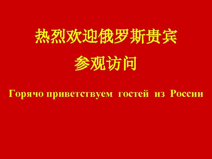 热烈欢迎俄罗斯贵宾 参观访问 Горячо приветствуем гостей из России 0 