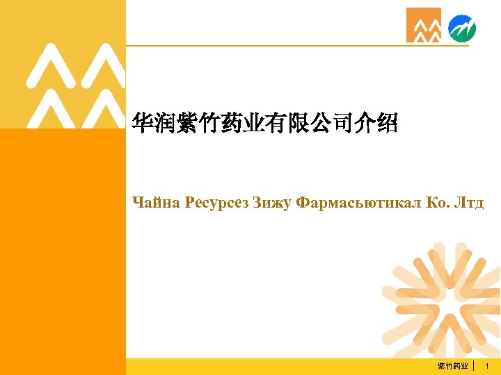 华润紫竹药业有限公司介绍 Чайна Ресурсез Зижу Фармасьютикал Ко. Лтд 紫竹药业 1 
