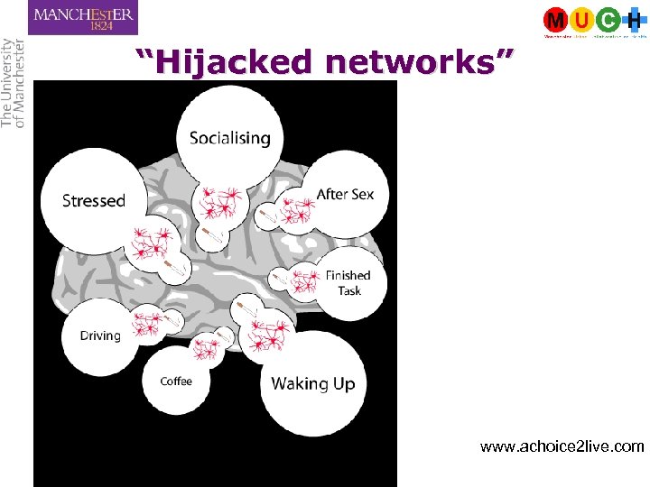 “Hijacked networks” www. achoice 2 live. com 