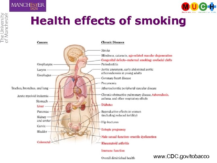 Health effects of smoking www. CDC. gov/tobacco 