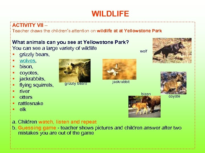 WILDLIFE ACTIVITY VII – Teacher draws the children’s attention on wildlife at at Yellowstone