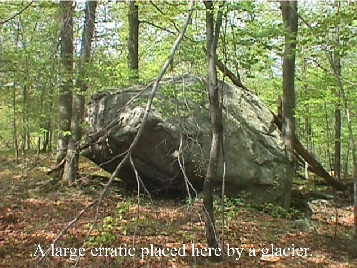 A large erratic placed here by a glacier. 