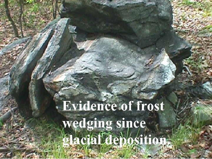 Evidence of frost wedging since glacial deposition. 