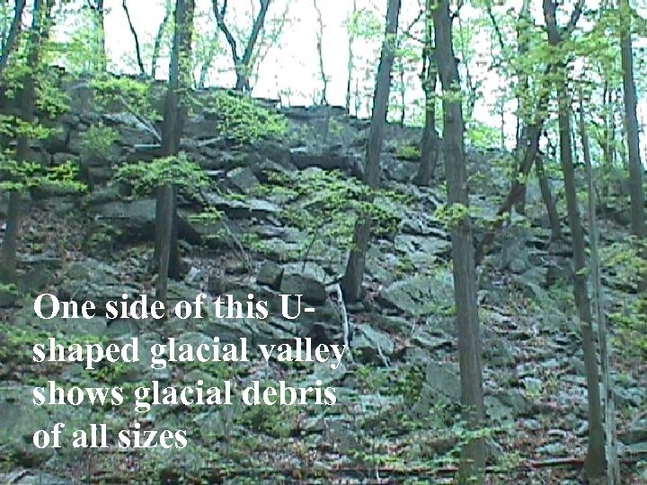 One side of this Ushaped glacial valley shows glacial debris of all sizes 