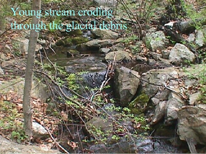 Young stream eroding through the glacial debris. 