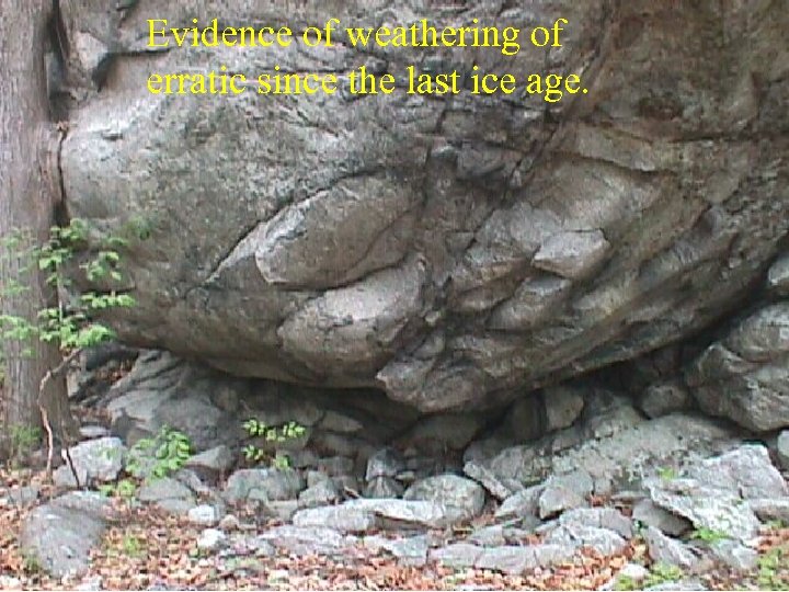 Evidence of weathering of erratic since the last ice age. 
