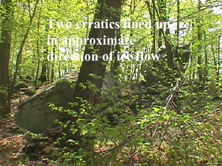Two erratics lined up in approximate direction of ice flow 