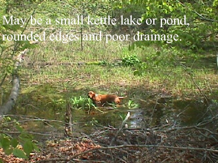 May be a small kettle lake or pond, rounded edges and poor drainage. 