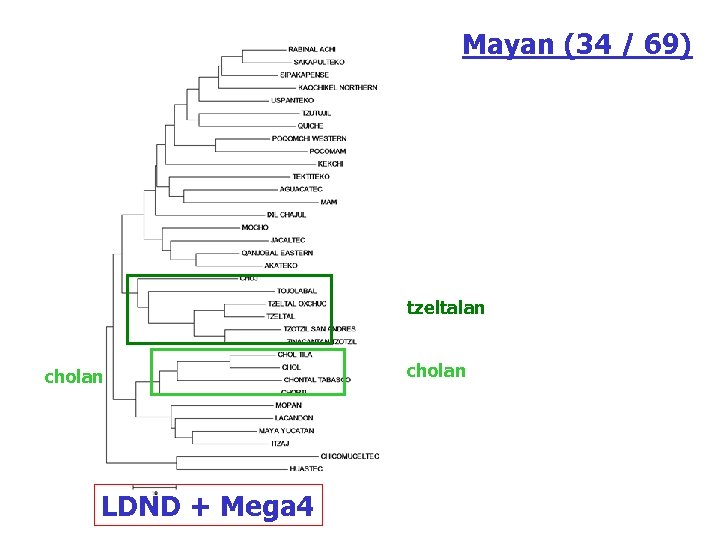 Mayan (34 / 69) tzeltalan cholan LDND + Mega 4 cholan 