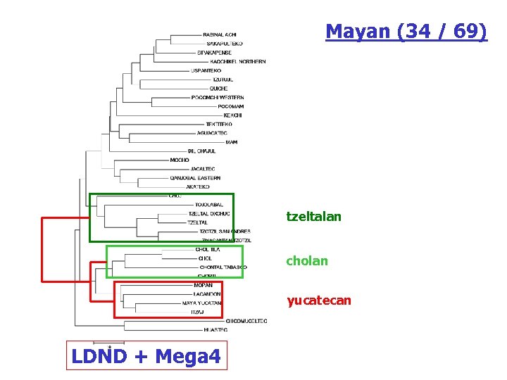 Mayan (34 / 69) tzeltalan cholan yucatecan LDND + Mega 4 