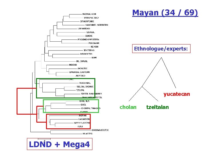 Mayan (34 / 69) Ethnologue/experts: yucatecan cholan LDND + Mega 4 tzeltalan 