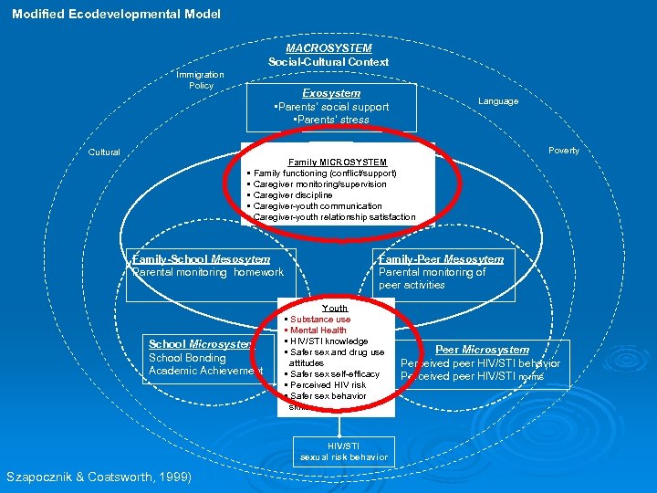 Modified Ecodevelopmental Model MACROSYSTEM Social-Cultural Context Immigration Policy Exosystem • Parents’ social support •