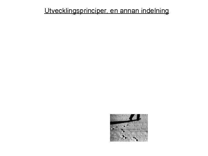 Utvecklingsprinciper, en annan indelning 