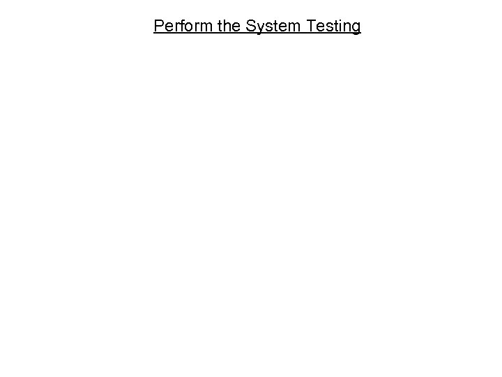 Perform the System Testing 