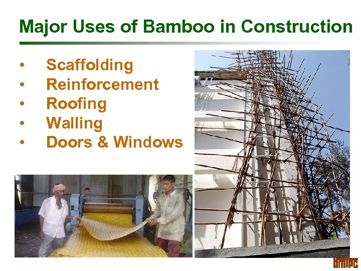 Major Uses of Bamboo in Construction • • • Scaffolding Reinforcement Roofing Walling Doors