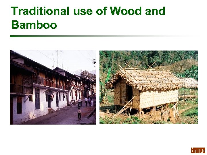 Bamboo As A Material For Housing And Buildings