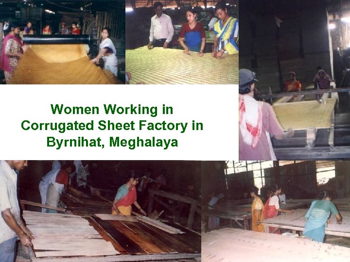 Women Working in Corrugated Sheet Factory in Byrnihat, Meghalaya 