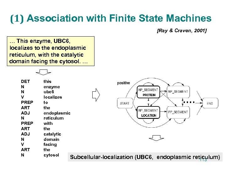 (1) Association with Finite State Machines [Ray & Craven, 2001] … This enzyme, UBC