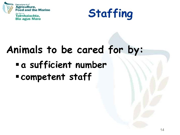 Staffing Animals to be cared for by: § a sufficient number § competent staff