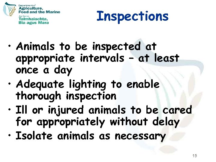 Inspections • Animals to be inspected at appropriate intervals – at least once a