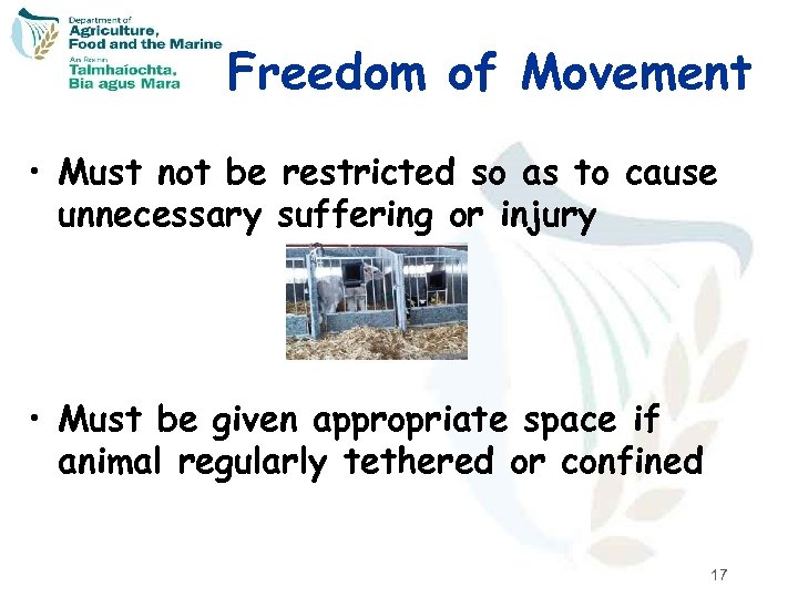 Freedom of Movement • Must not be restricted so as to cause unnecessary suffering