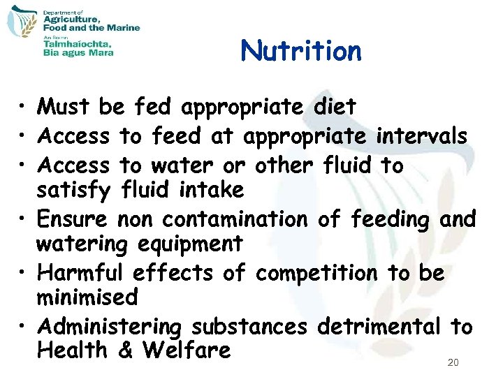 Nutrition • Must be fed appropriate diet • Access to feed at appropriate intervals