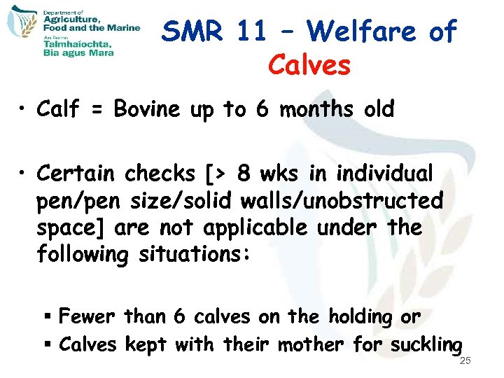 SMR 11 – Welfare of Calves • Calf = Bovine up to 6 months