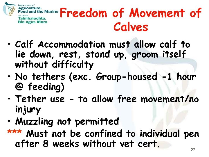 Freedom of Movement of Calves • Calf Accommodation must allow calf to lie down,