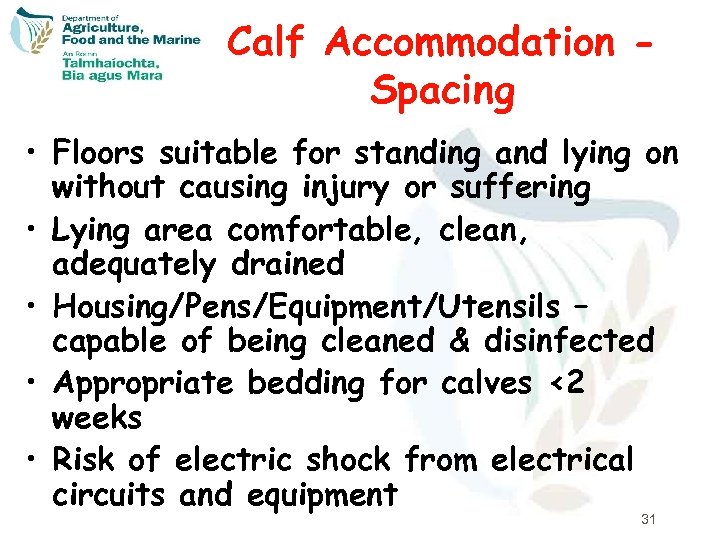 Calf Accommodation Spacing • Floors suitable for standing and lying on without causing injury
